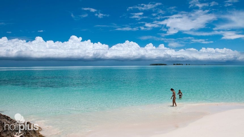 Book “SEAFARI CAYO MEDIA LUNA” Tour. Departure from CAYO COCO.