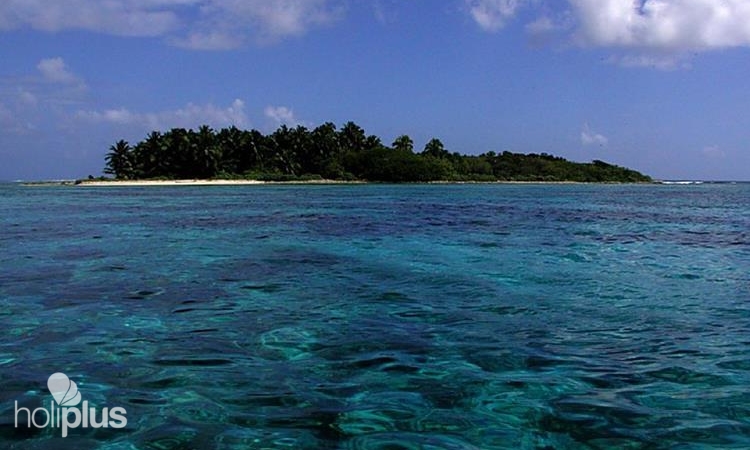 Réserver Excursion “Seafari Cayo Media Luna. Départs de CAYO COCO.