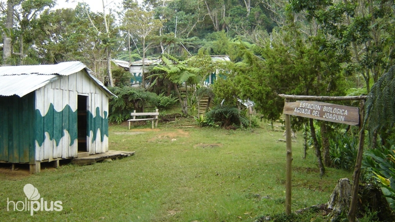 Book "Turquino Peak Trekking Tour (2 Days and 1 Night)". Departure from ...