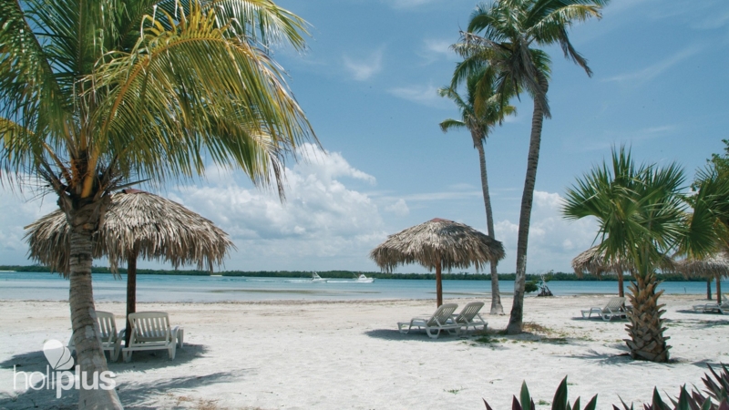 Book online Swandor Varadero Beach All Inclusive Hotel – Adults only
